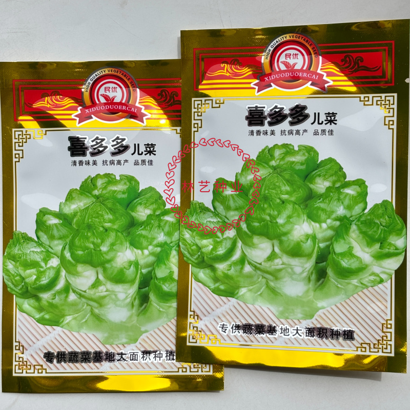 儿喜多多菜种子脆儿芽早熟大头菜秋冬娃娃青菜榨菜
