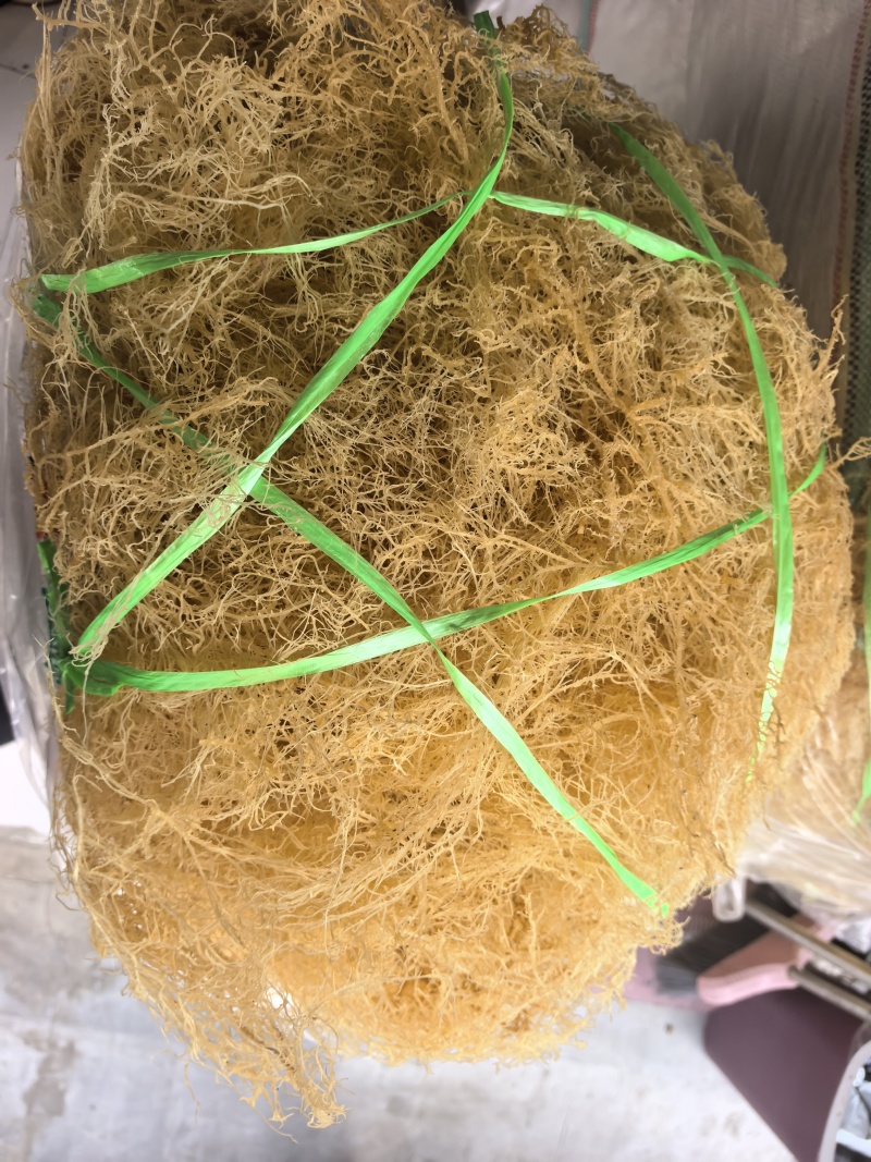龙须菜龙须菜干货石花菜