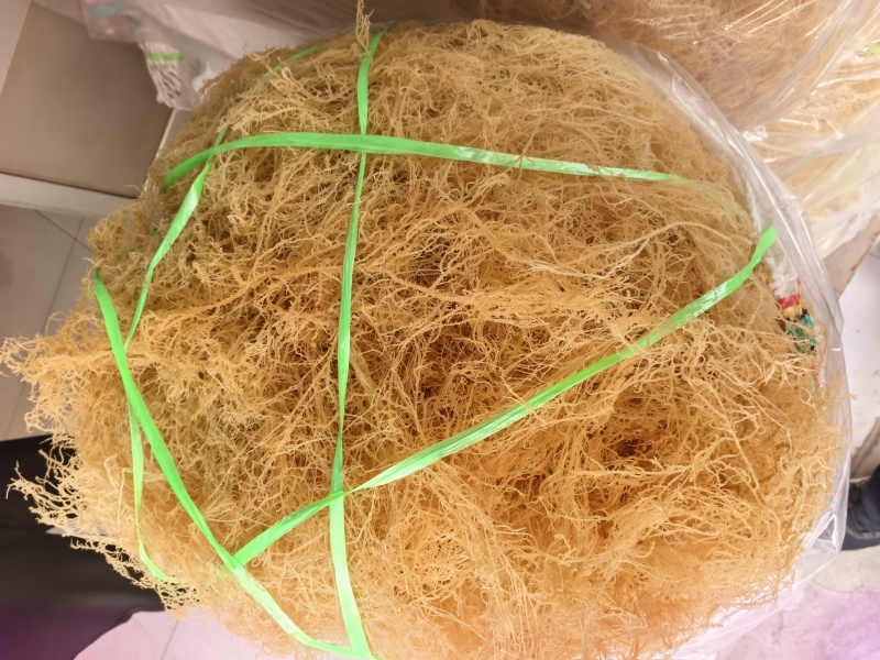龙须菜龙须菜干货石花菜