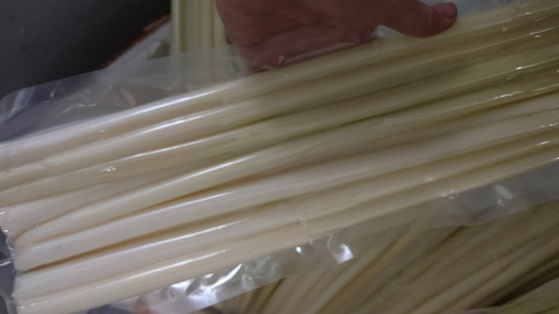 新鲜淮安蒲菜微山湖蒲菜新鲜净菜