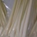 新鲜蒲菜5块一斤真空包装1-2斤净菜