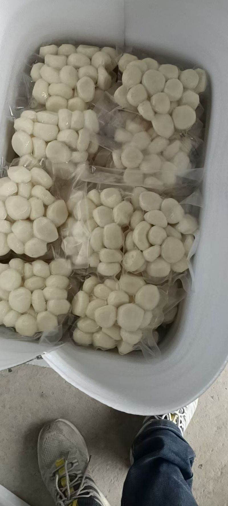 长年供应荔浦毛马蹄，，削皮白马蹄