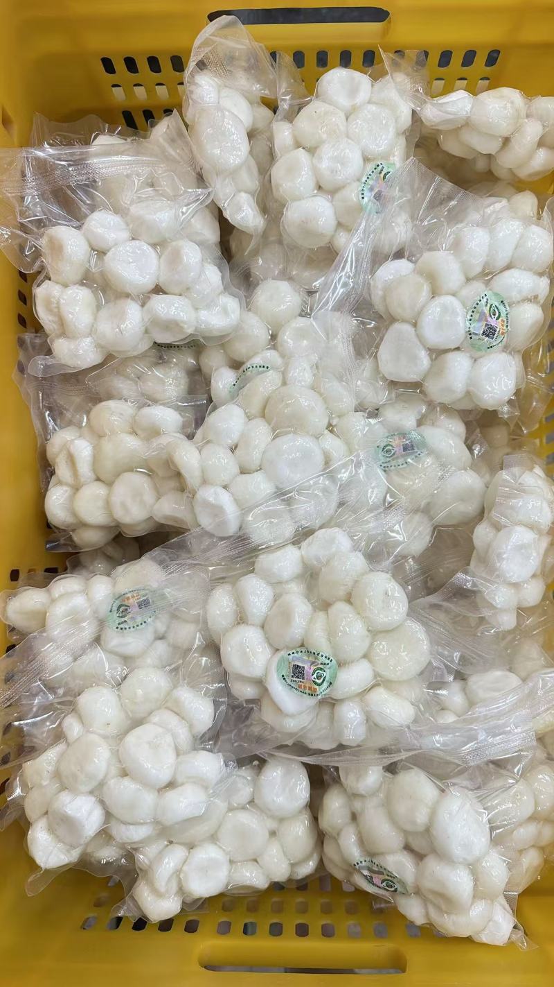 长年供应荔浦毛马蹄，，削皮白马蹄
