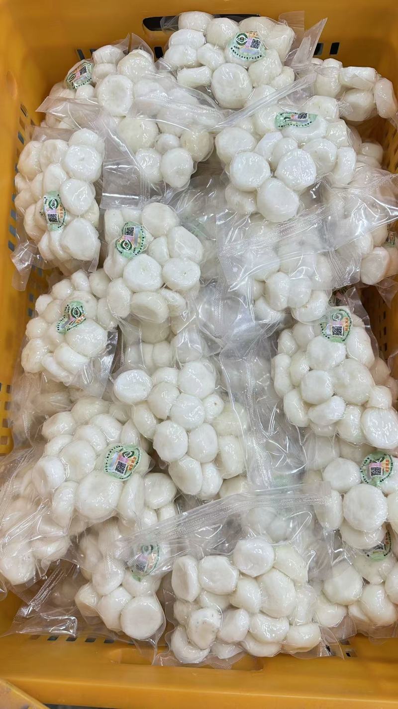 长年供应荔浦毛马蹄，，削皮白马蹄