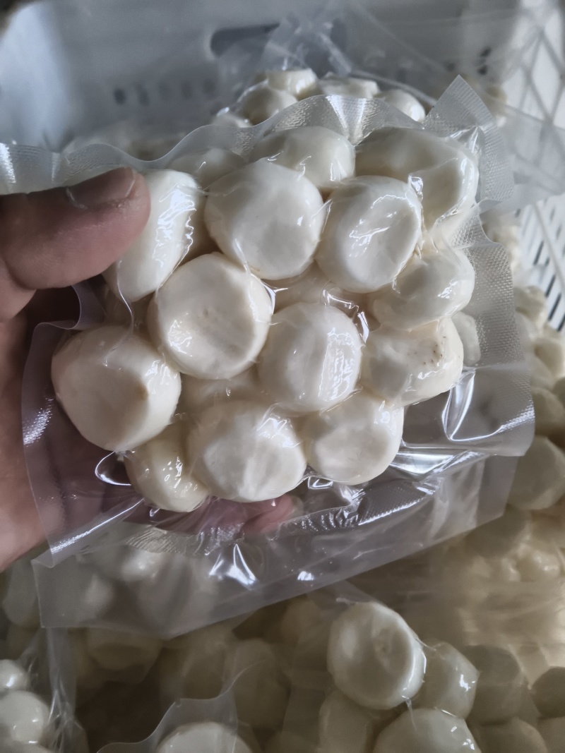 长年供应荔浦毛马蹄，，削皮白马蹄