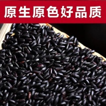 东北黑米新鲜五谷杂粮黑香米糙米黑糯米粥孕妇代餐非真空批发