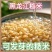 东北糙米粗粮孕妇减餐代餐五谷杂粮米单色纯糙米饭***包邮