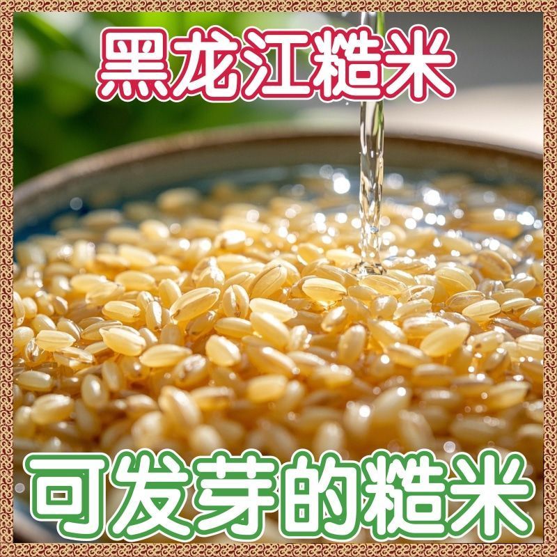 东北糙米粗粮孕妇减餐代餐五谷杂粮米单色纯糙米饭***包邮