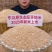 东北糙米粗粮孕妇减餐代餐五谷杂粮米单色纯糙米饭***包邮