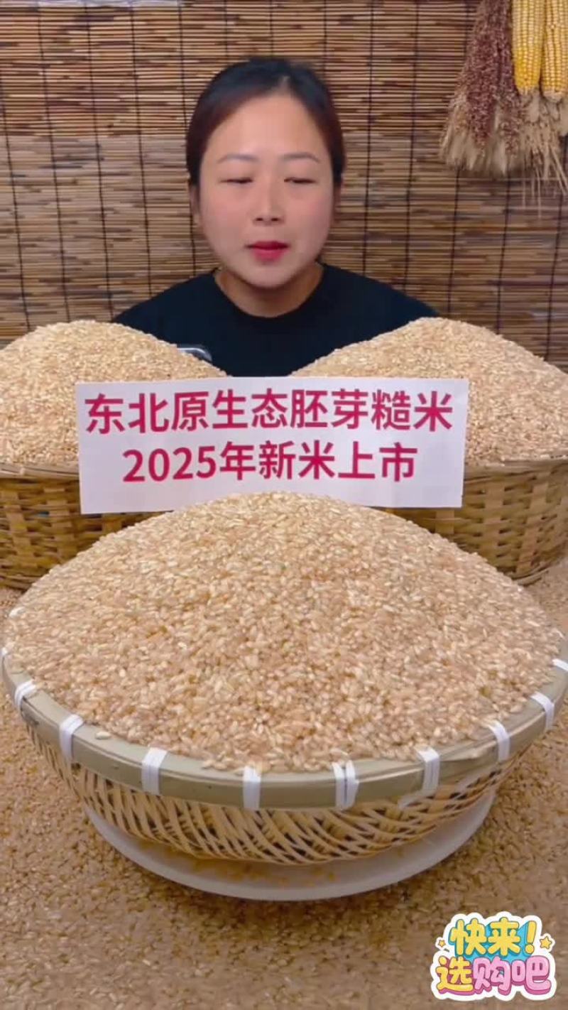 东北糙米粗粮孕妇减餐代餐五谷杂粮米单色纯糙米饭***包邮