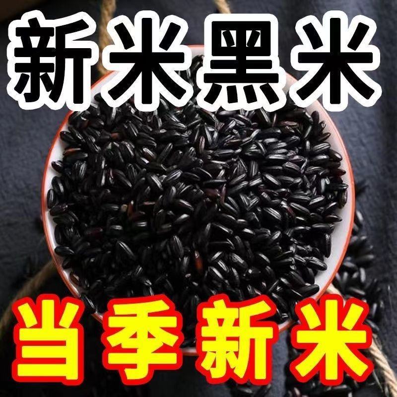 新米东北黑米黑龙江农家黑香米黑大正宗黑香米粥五谷杂粮