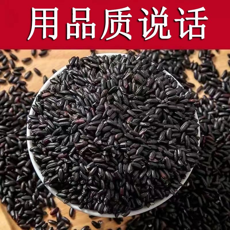 新米东北黑米黑龙江农家黑香米黑大正宗黑香米粥五谷杂粮