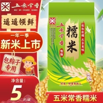 【五米常香】圆粒糯米5斤真空江米酿酒米粽子米2025年新