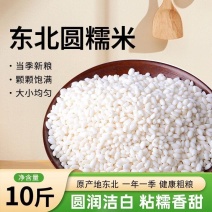 当季新米新粮糯米东北精品白糯米江米家直发圆粒糯米新江米糯