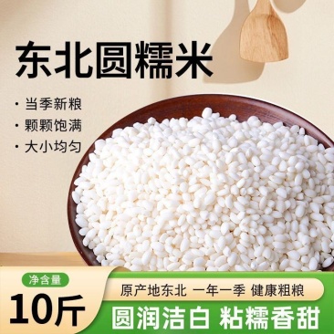 当季新米新粮糯米东北精品白糯米江米家直发圆粒糯米新江米糯