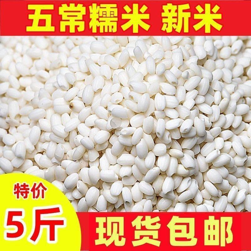 五常纯糯米特价东北糯米江米白糯米糯米