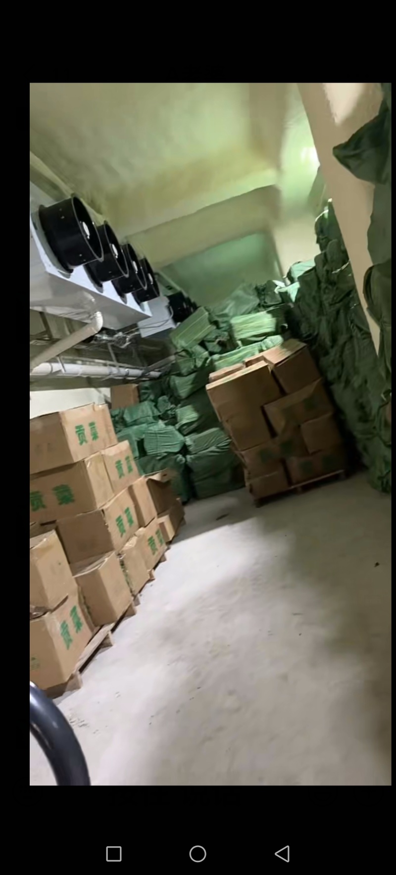 涡阳特产苔干贡菜，一手货源，产地直发，自然凉晒，量大优惠