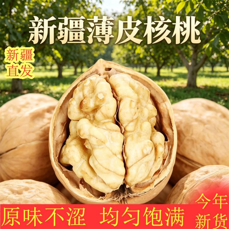 薄皮核桃阿克苏185纸皮核桃均有大货支持代发密文打单