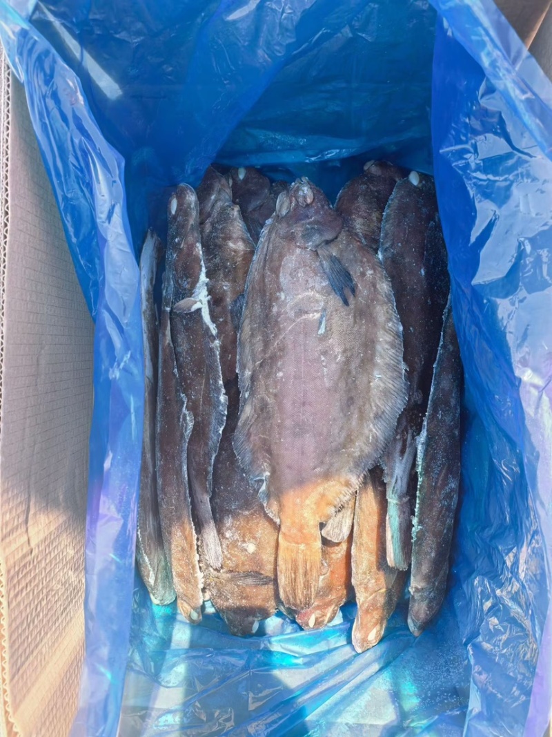 油鲽，单冻油鲽，油鲽原料