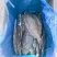 油鲽，单冻油鲽，油鲽原料