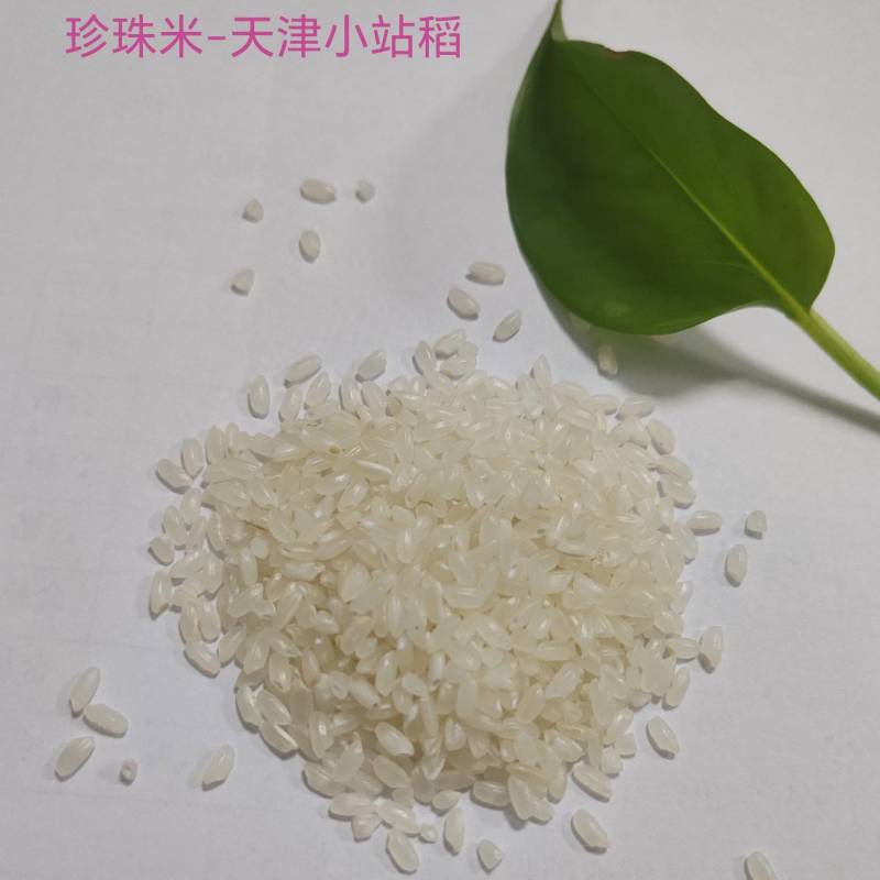 基地直供大米