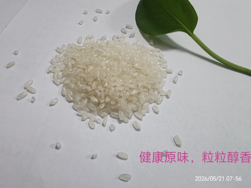 基地直供大米