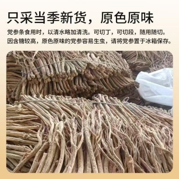 假一赔十党参干货土特产党参干货煲汤泡茶水南北干货
