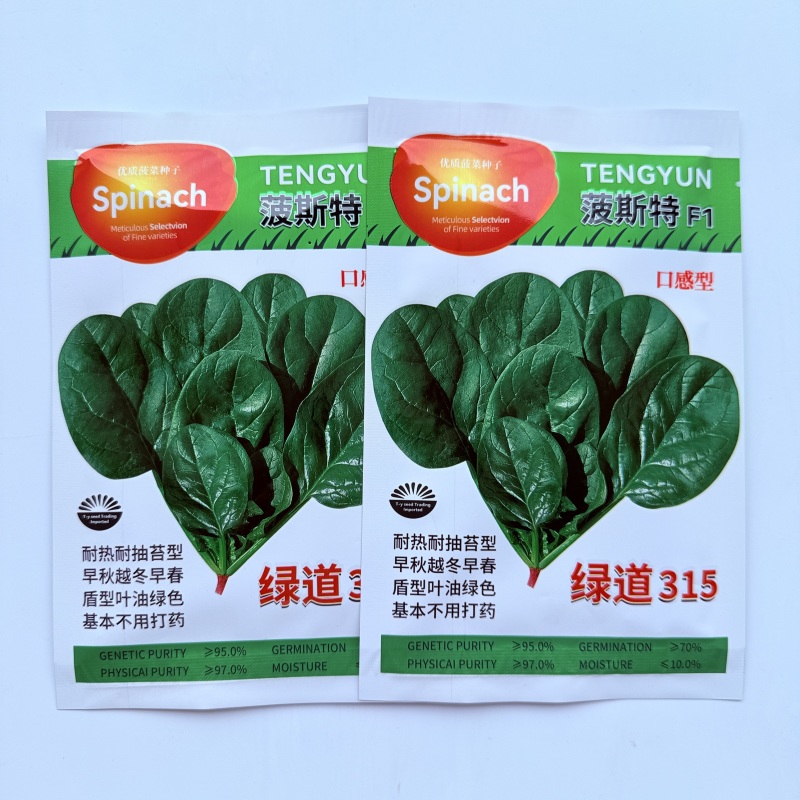 波斯特直立耐热菠菜种子50克深油绿色大半圆叶菠菜种子