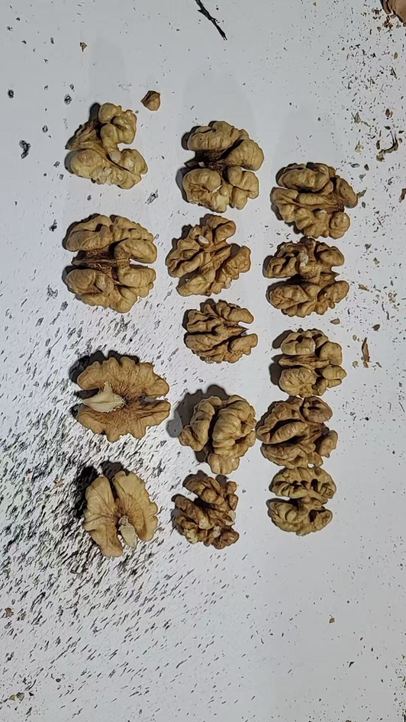 河北涉县薄皮核桃仁品类齐全颗粒饱满无漂白