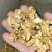 河北涉县薄皮核桃仁品类齐全颗粒饱满无漂白