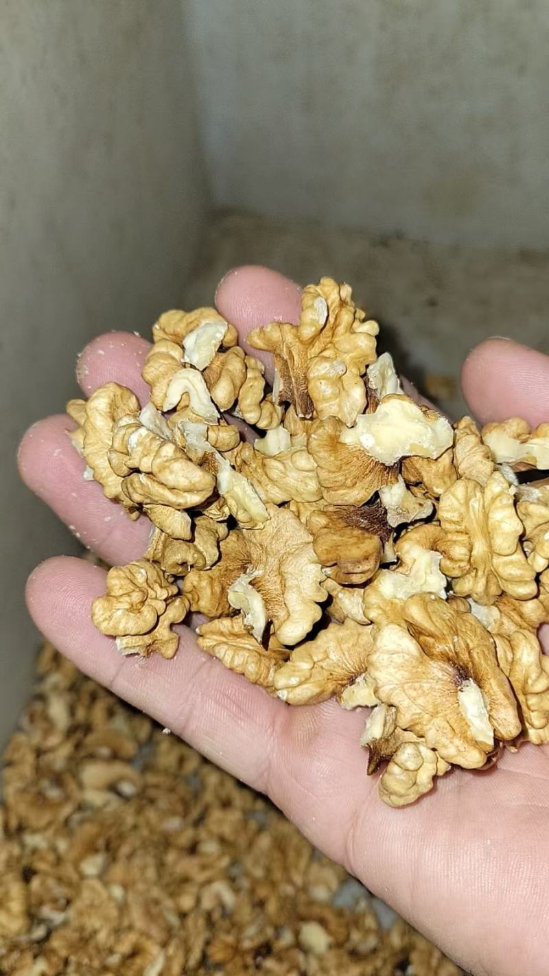 河北涉县薄皮核桃仁品类齐全颗粒饱满无漂白