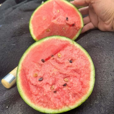 小糖丸、2k小吊瓜🍉大棚头茬、皮薄、口感甜、