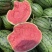 小糖丸、2k小吊瓜🍉大棚头茬、皮薄、口感甜、