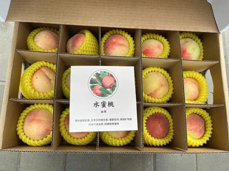 进口品种白凤水蜜桃