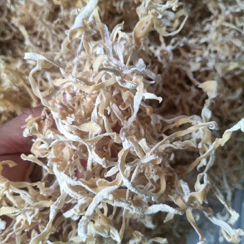 玉木耳丝精品木耳丝白木耳丝优质白木耳丝玉耳丝食用菌木耳丝