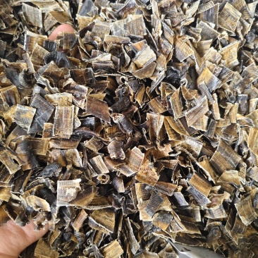 地龙全开地龙正品中药材广地龙无泥沙杂质，地龙段