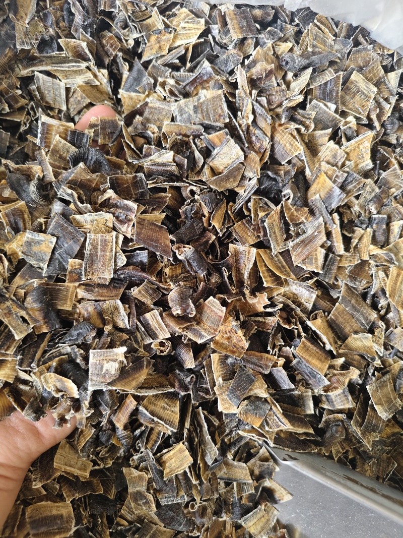 地龙全开地龙正品中药材广地龙无泥沙杂质，地龙段