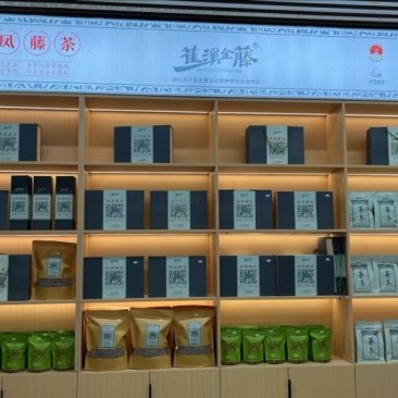 来凤藤茶