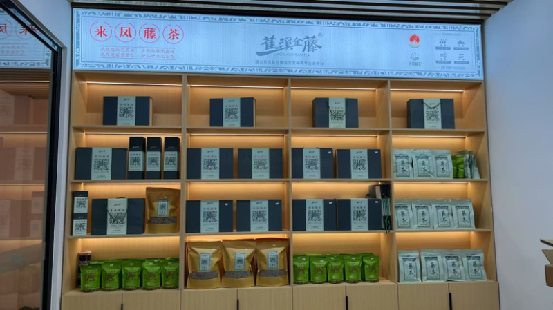 来凤藤茶