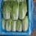 白菜黄心大白菜现拔现发产地直供一手货源欢迎来电