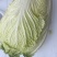 有2万多斤，黄心大白菜！