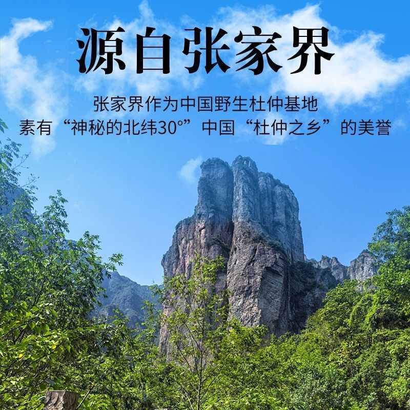 野生特级杜仲雄花针型花蕊500克
