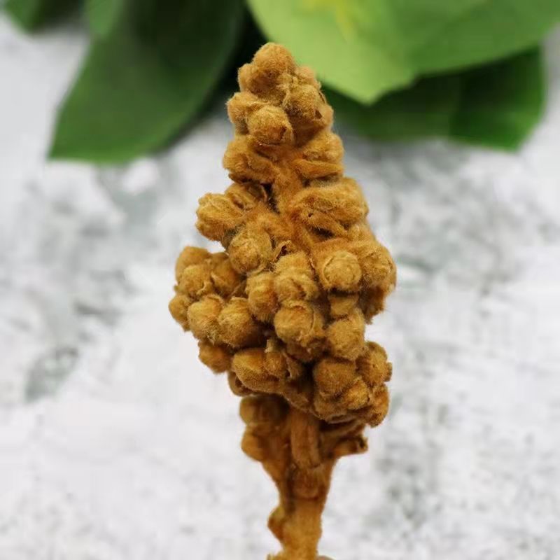 新花枇杷花茶特级散装天然白琵琶花蕾农家自晒优质枇杷花干煲