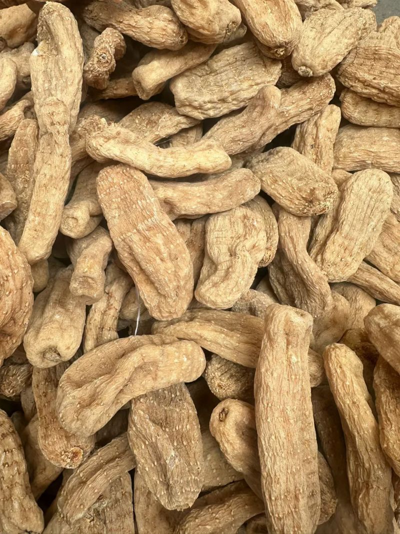 大别山乌红杂交天麻，红天麻，常年有货，自产自销