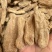 大别山乌红杂交天麻，红天麻，常年有货，自产自销