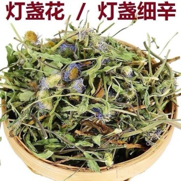 (云南灯盏花)中药材灯盏花天然新货灯盏细辛灯盏草包