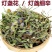 (云南灯盏花)中药材灯盏花天然新货灯盏细辛灯盏草包
