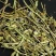 (云南灯盏花)中药材灯盏花天然新货灯盏细辛灯盏草包