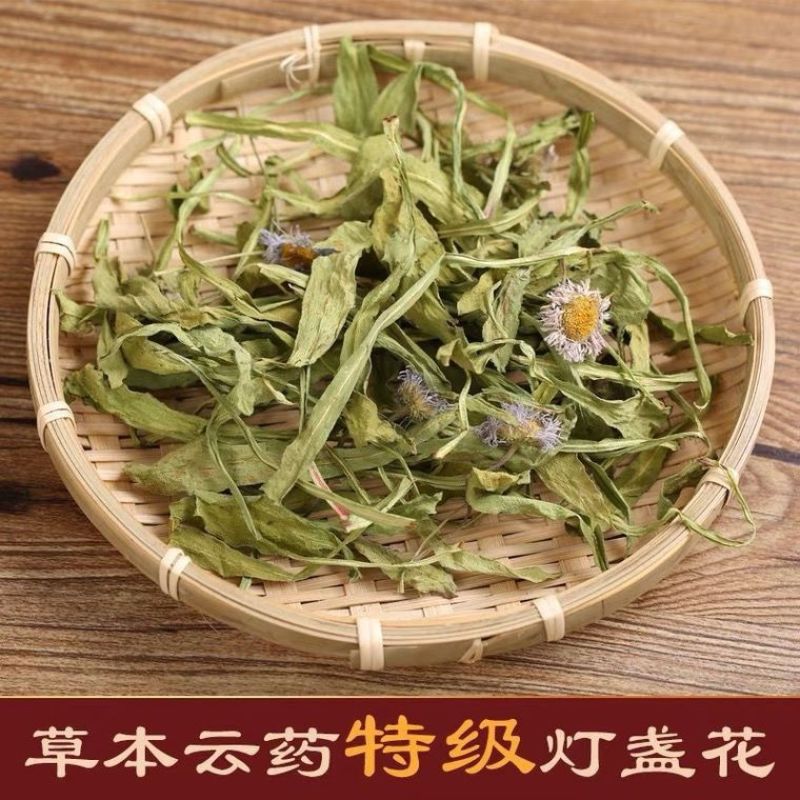 (云南灯盏花)中药材灯盏花天然新货灯盏细辛灯盏草包