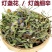 (云南灯盏花)中药材灯盏花天然新货灯盏细辛灯盏草包